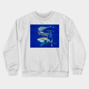 Reflections Crewneck Sweatshirt